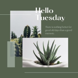 plants and green accent colors